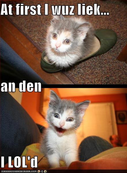 lolcat description is descriptive.